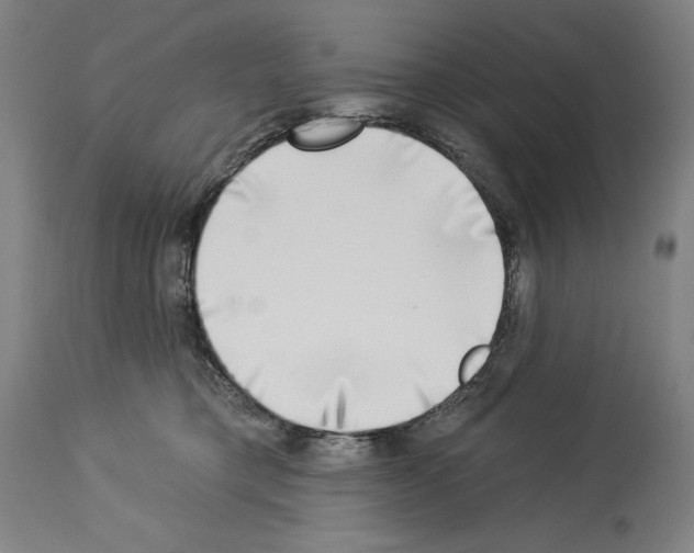 X0000114020421200911131231