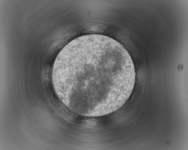 X0000114020423200911131231