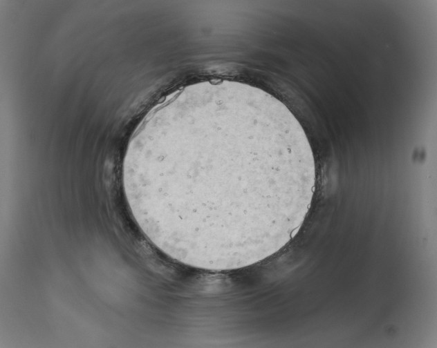 X0000114020424200911131231