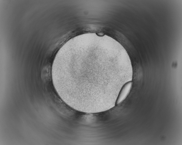 X0000114020425200911131231