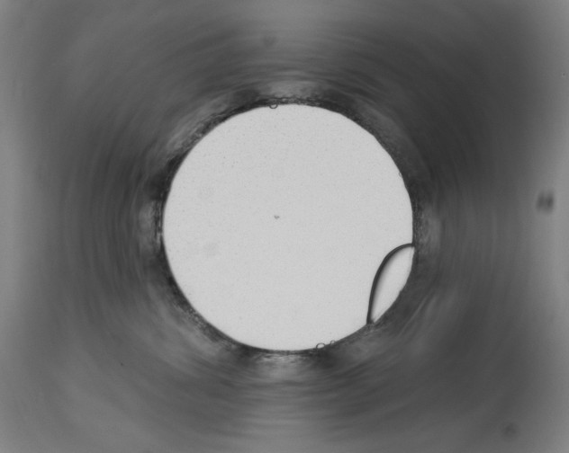 X0000114020428200911131231