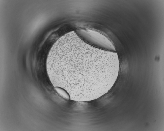 X0000114020429200911131231