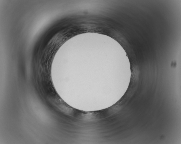 X0000114020430200911131231