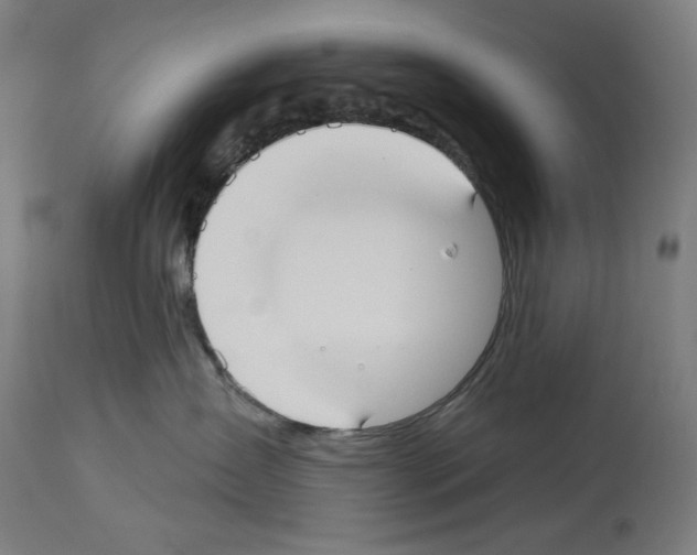 X0000114020431200911131231