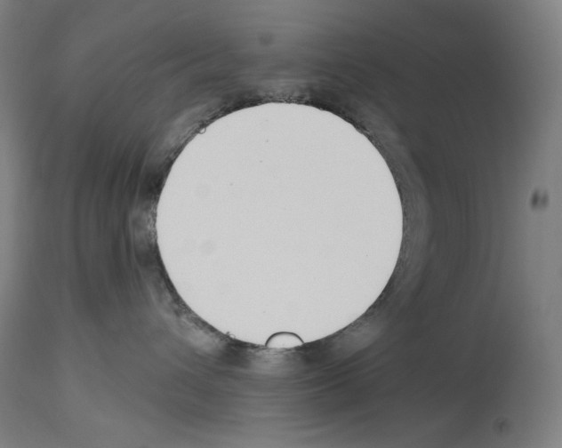 X0000114020432200911131231