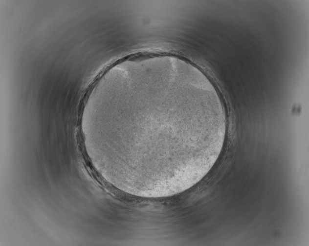 X0000114020434200911131230