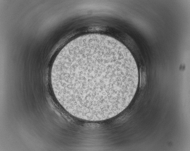 X0000114020435200911131230