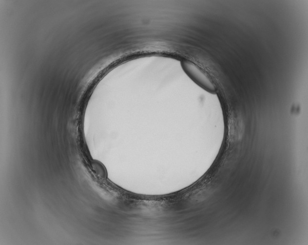 X0000114020436200911131230