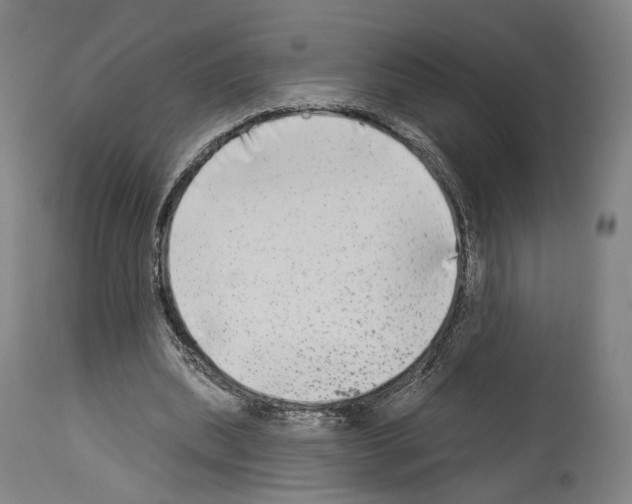 X0000114020439200911131230