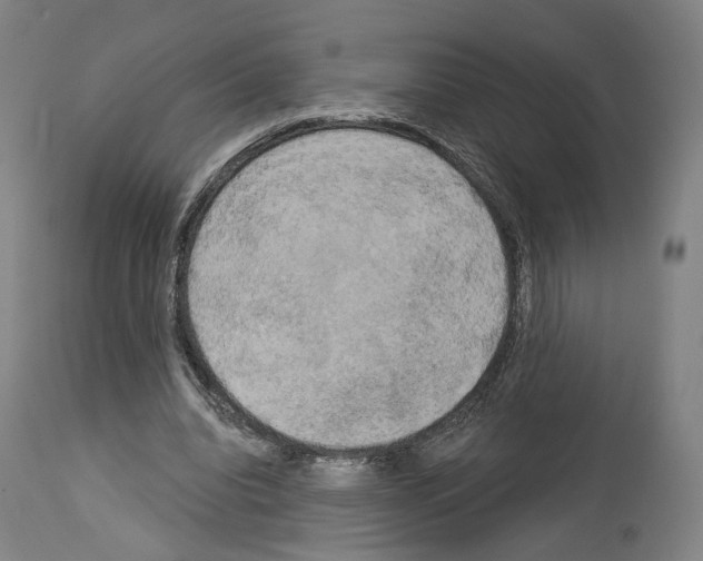 X0000114020440200911131230