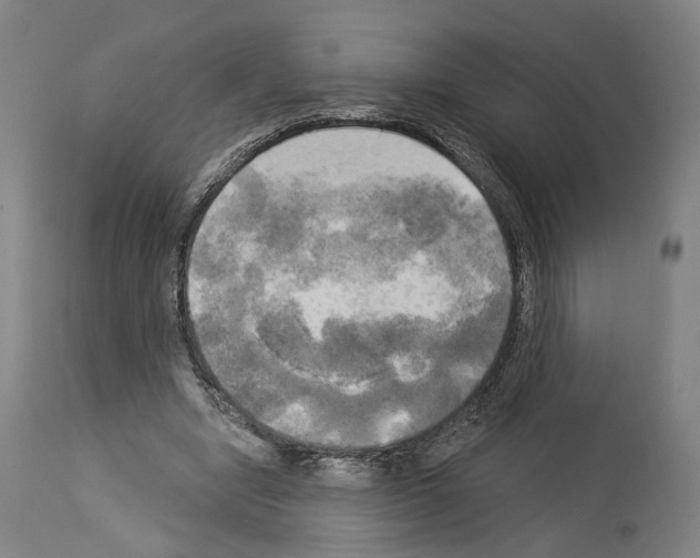 X0000114020442200911131230