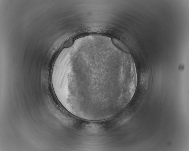 X0000114020444200911131230