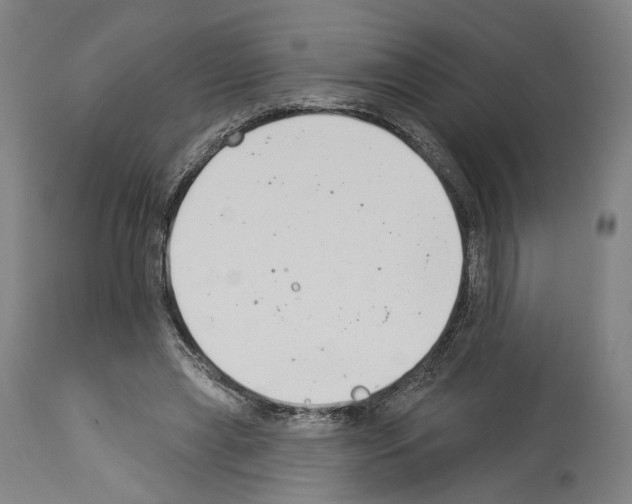 X0000114020445200911131230