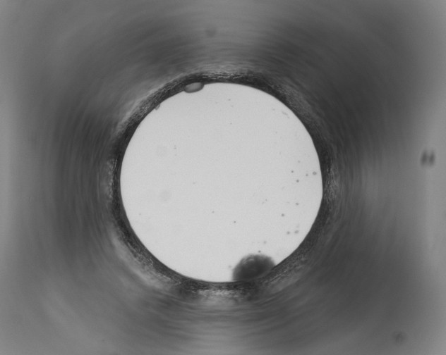 X0000114020448200911131230