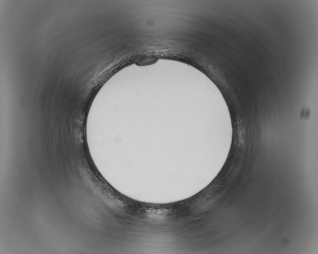 X0000114020450200911131230