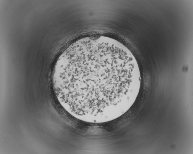 X0000114020451200911131230