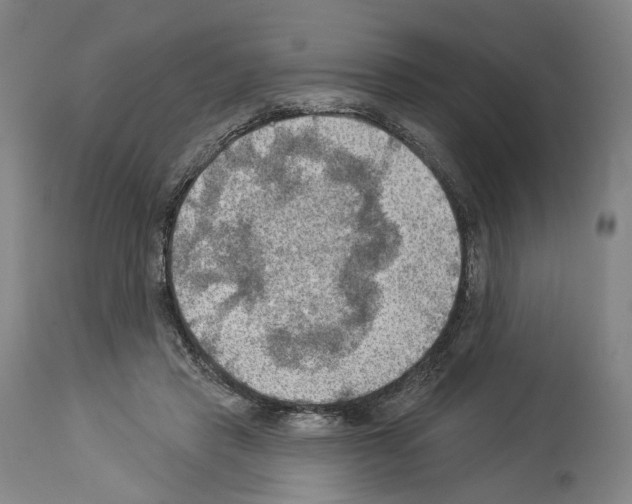 X0000114020453200911131230