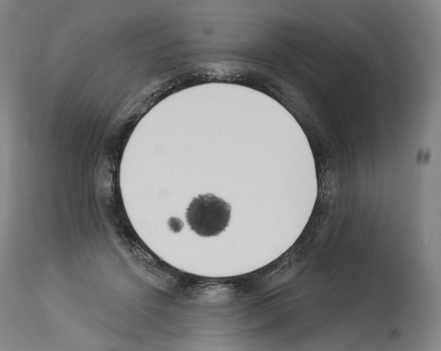 X0000114020456200911131230