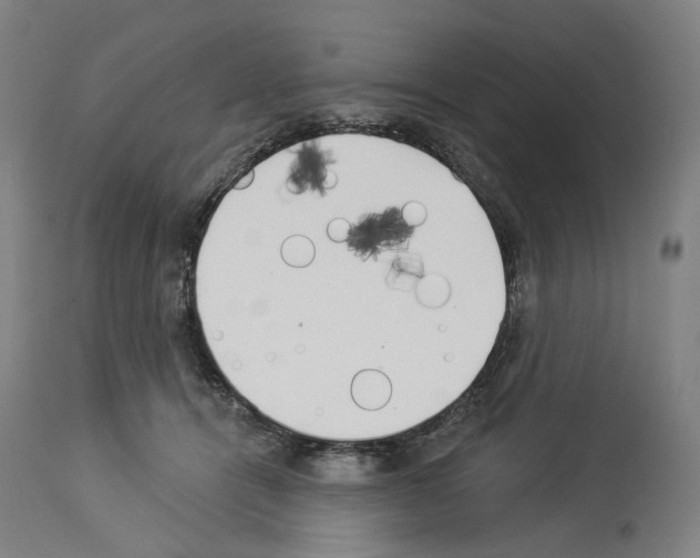 X0000114020464200911131231