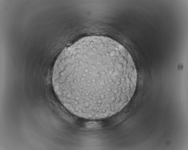 X0000114020465200911131231