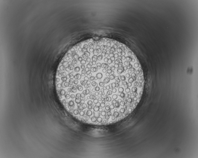 X0000114020466200911131231