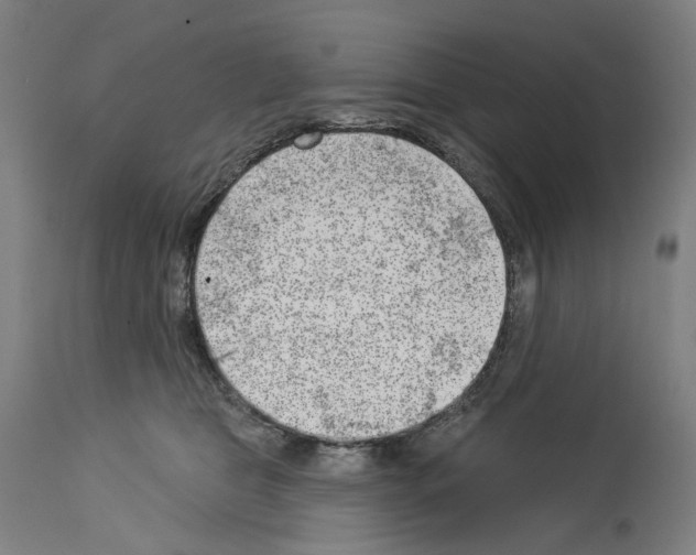 X0000114020469200911131231