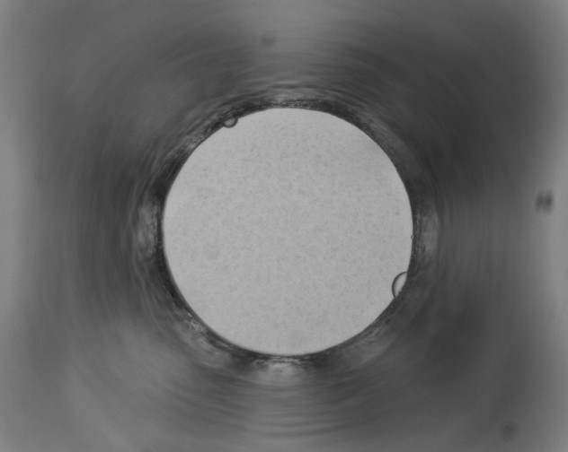 X0000114020475200911131231