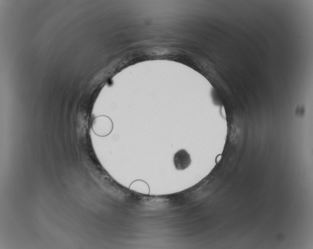 X0000114020476200911131231