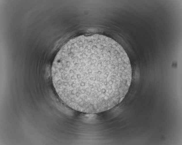 X0000114020478200911131231