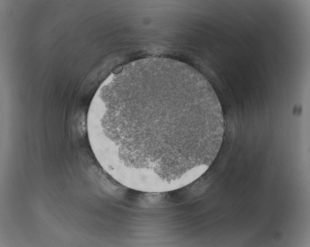 X0000114020479200911131231