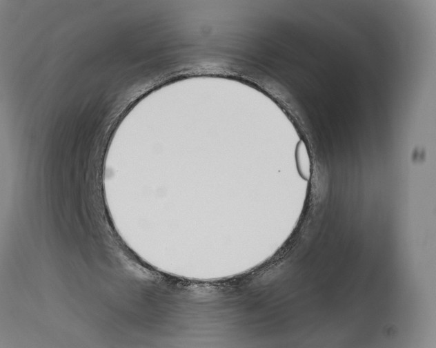 X0000114020481200911131230