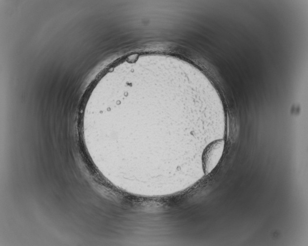 X0000114020483200911131230