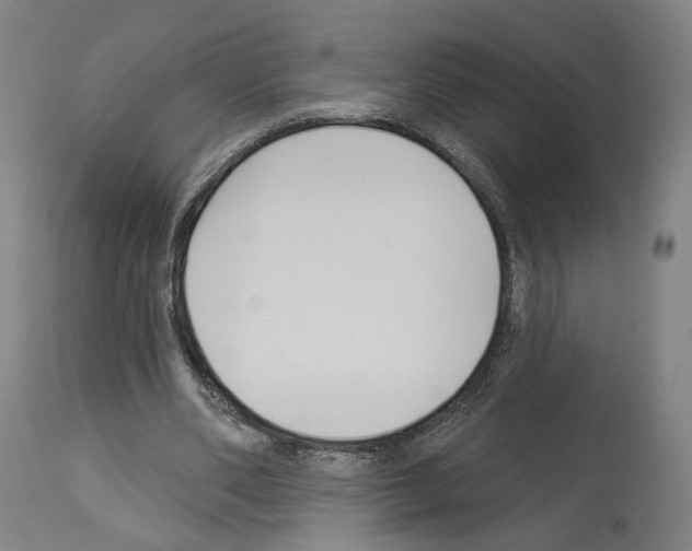 X0000114020486200911131230