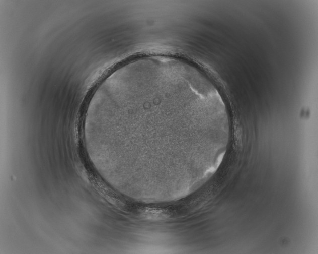 X0000114020487200911131230