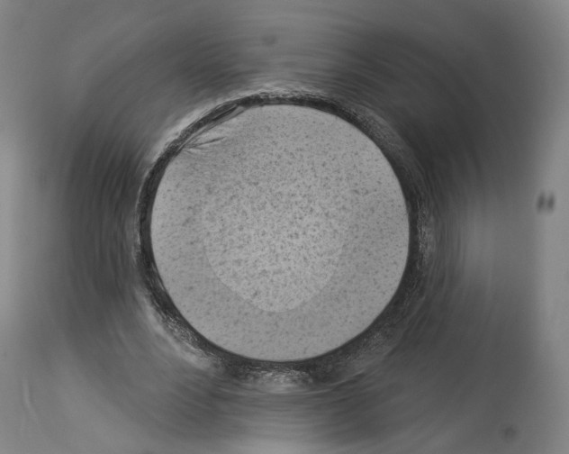 X0000114020488200911131230