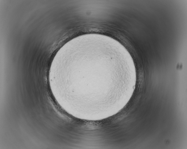 X0000114020489200911131230