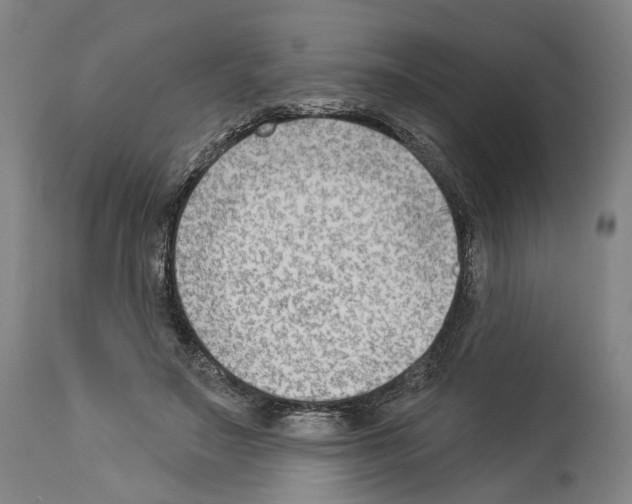 X0000114020499200911131230