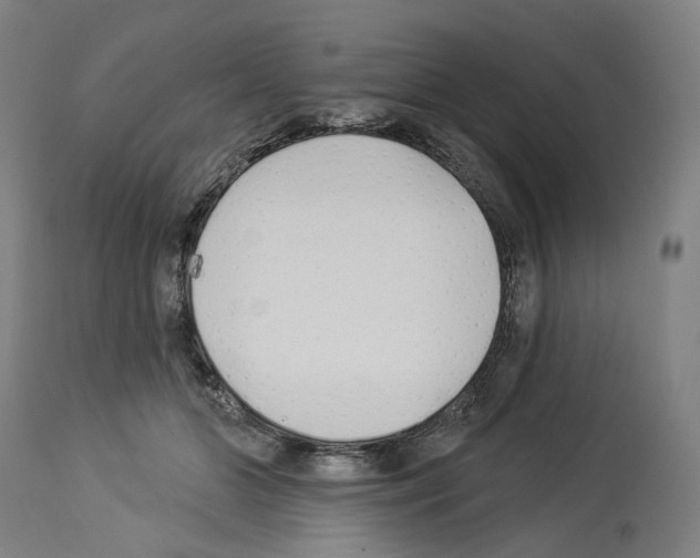 X0000114020510200911131230