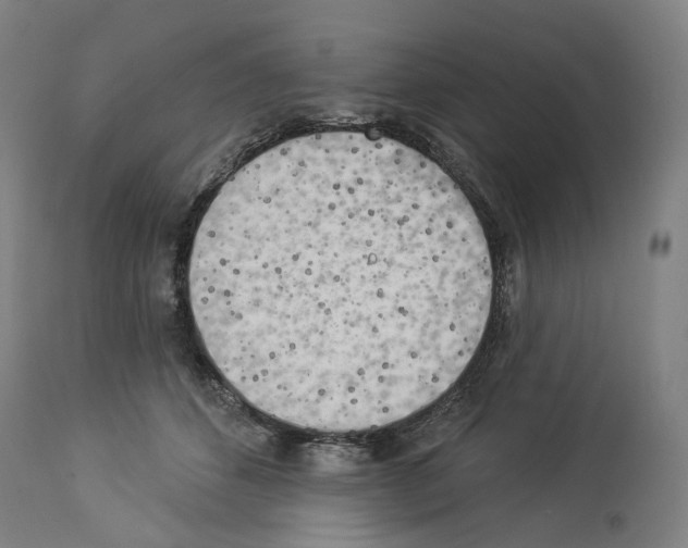 X0000114020512200911131230