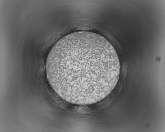 X0000114020517200911131230