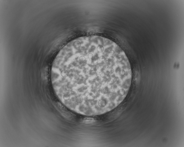 X0000114020519200911131230