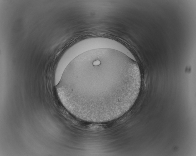 X0000114020520200911131229