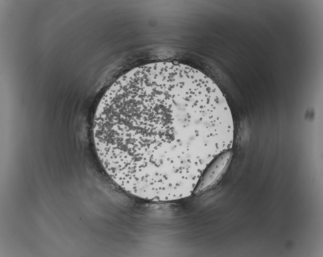 X0000114020524200911131229