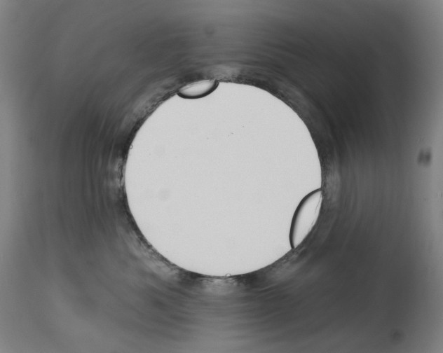 X0000114020525200911131229