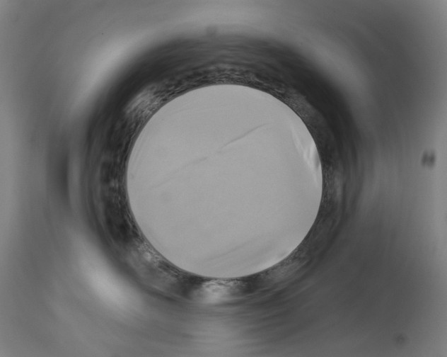 X0000114020526200911131229