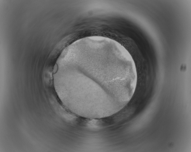 X0000114020527200911131229