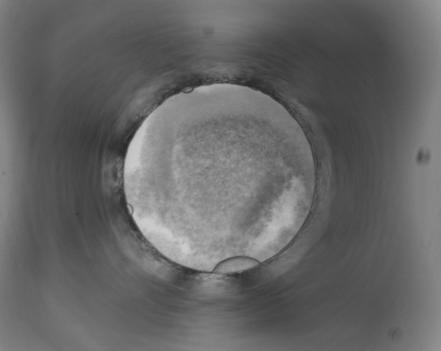 X0000114020528200911131229