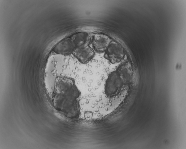 X0000114020529200911131229