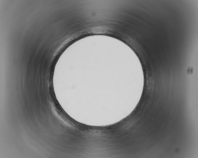 X0000114020530200911131229