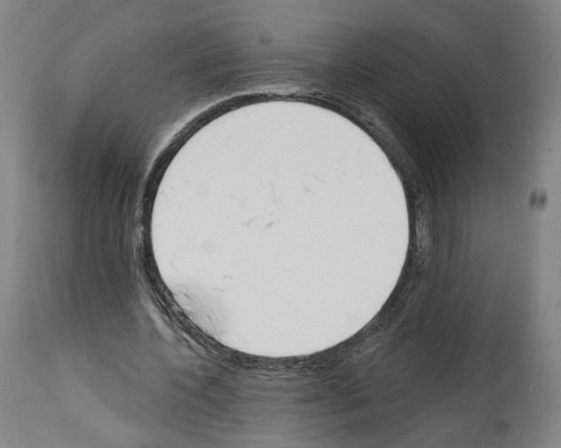 X0000114020532200911131229